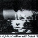 Catalogue image from Leigh Hobba's River with Detail (1986) installed at the Art Gallery of NSW.