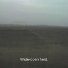 Pole Shiroko - Wide-open Field, 