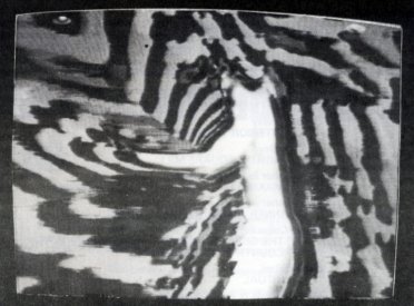Still from Stephen Jones' Tai Chi Transforms (1975-6) from the catalogue for Project 30 (AGNSW) Some Recent Australian Videotapes.